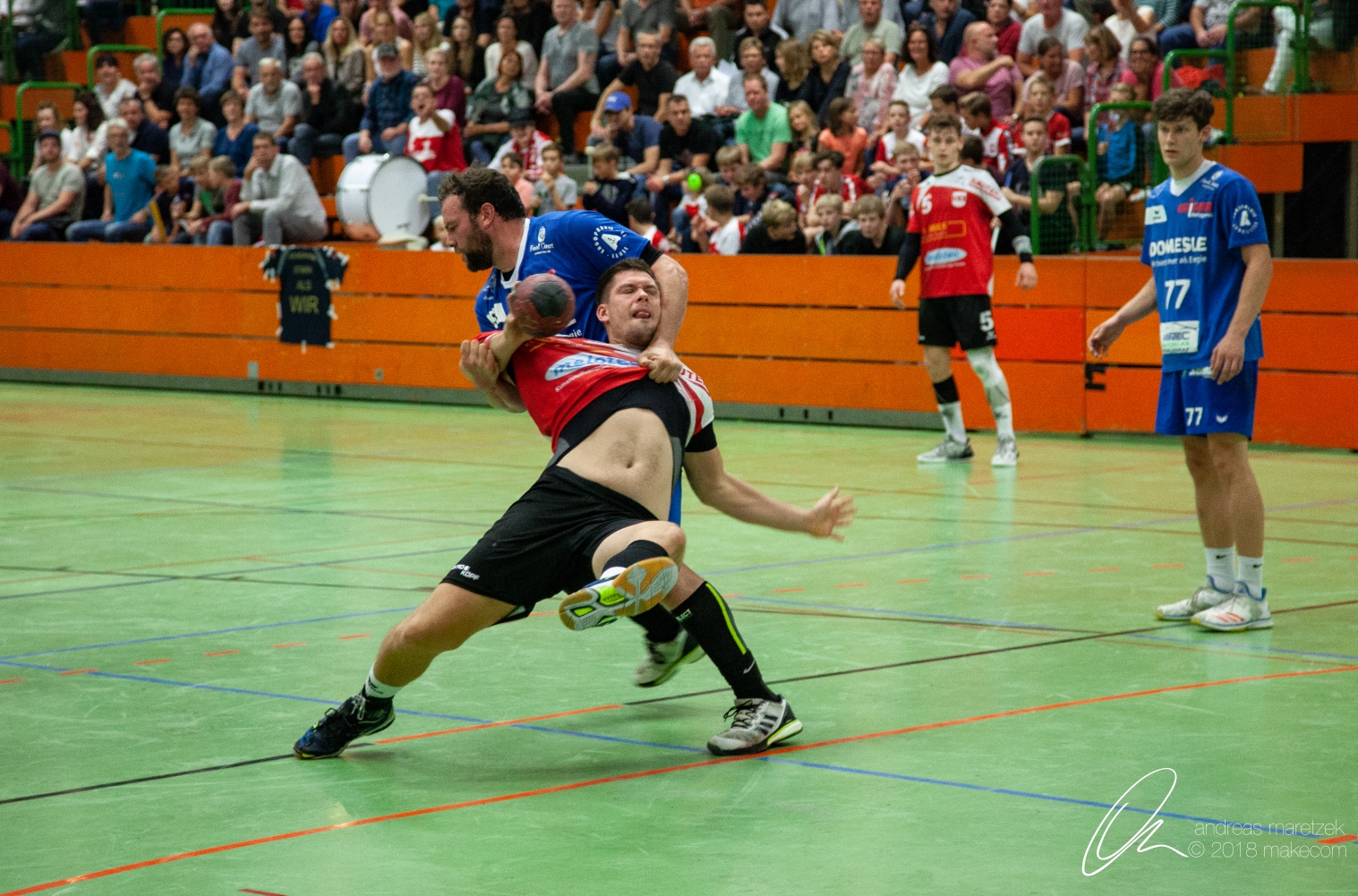 imageimg-6520bearb.jpg